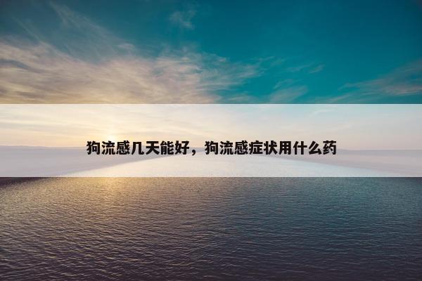 狗流感几天能好，狗流感症状用什么药