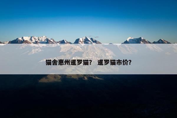 猫舍惠州暹罗猫？ 暹罗猫市价？
