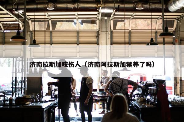 济南拉斯加咬伤人(济南阿拉斯加禁养了吗)