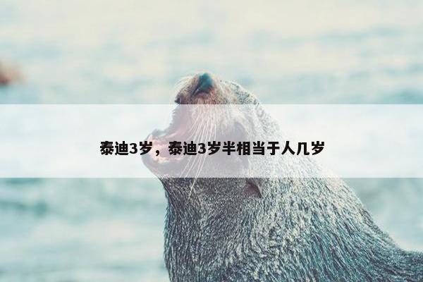 泰迪3岁，泰迪3岁半相当于人几岁