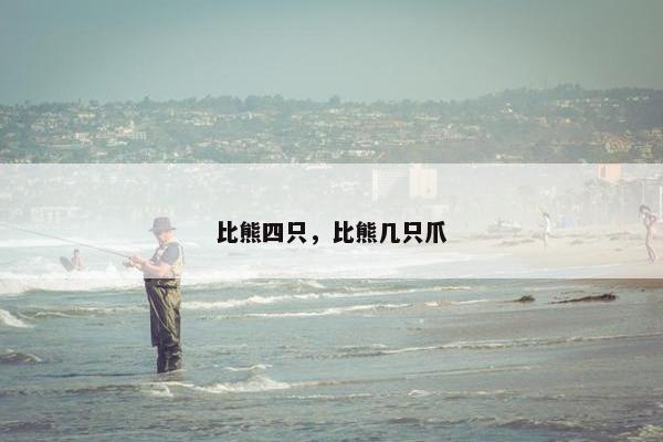 比熊四只，比熊几只爪