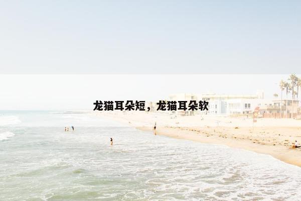 龙猫耳朵短，龙猫耳朵软