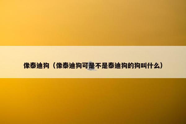 像泰迪狗（像泰迪狗可是不是泰迪狗的狗叫什么）