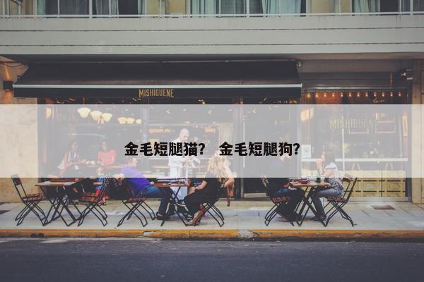 金毛短腿猫？ 金毛短腿狗？