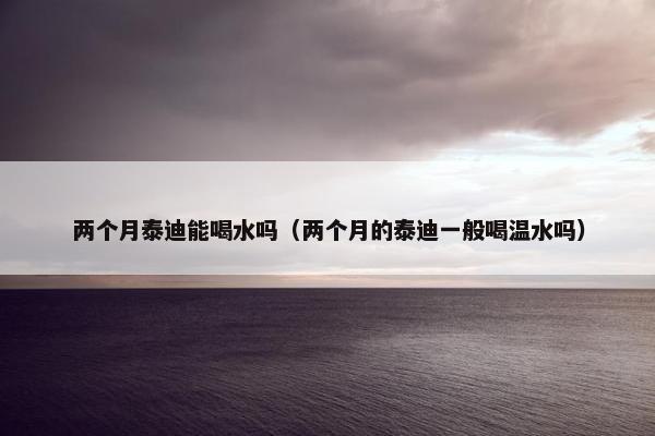 两个月泰迪能喝水吗（两个月的泰迪一般喝温水吗）