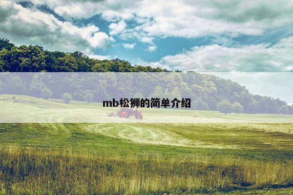 mb松狮的简单介绍