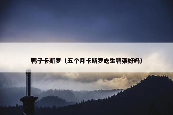 鸭子卡斯罗(五个月卡斯罗吃生鸭架好吗) 鸭子卡斯罗(五个月卡斯罗吃生鸭架好吗)