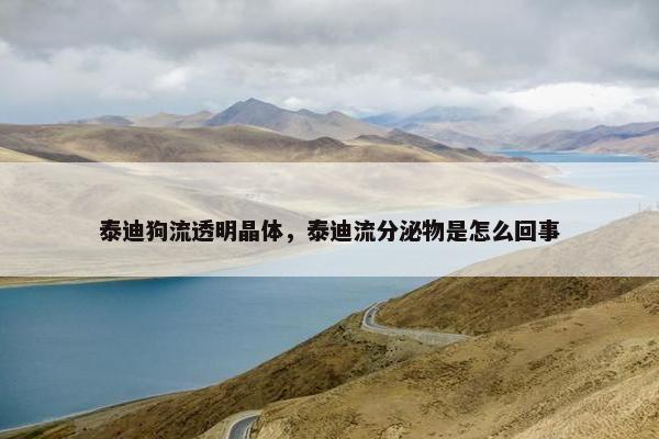 泰迪狗流透明晶体，泰迪流分泌物是怎么回事