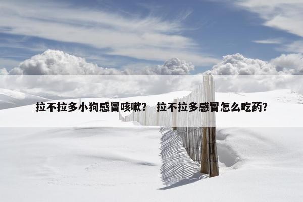 拉不拉多小狗感冒咳嗽？ 拉不拉多感冒怎么吃药？