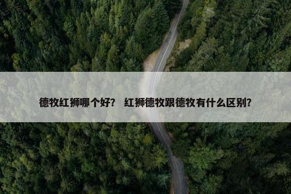 德牧红狮哪个好？ 红狮德牧跟德牧有什么区别？