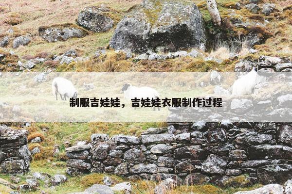 制服吉娃娃,吉娃娃衣服制作过程