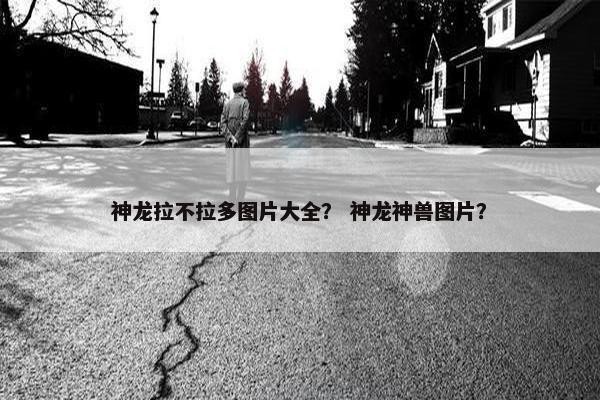神龙拉不拉多图片大全？ 神龙神兽图片？