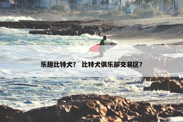 乐趣比特犬? 比特犬俱乐部交易区? 乐趣比特犬? 比特犬俱乐部交易区?