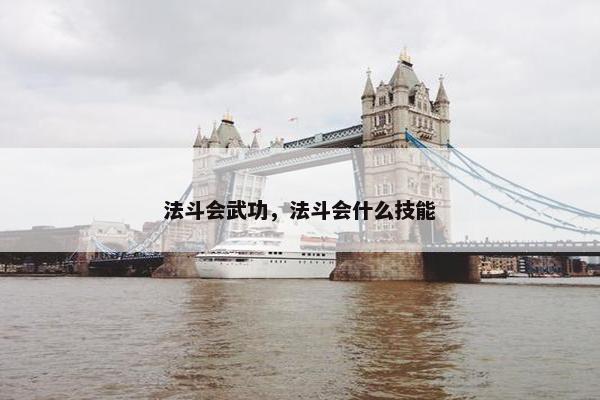 法斗会武功,法斗会什么技能