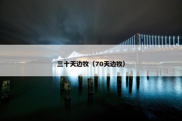 三十天边牧(70天边牧) 三十天边牧(70天边牧)