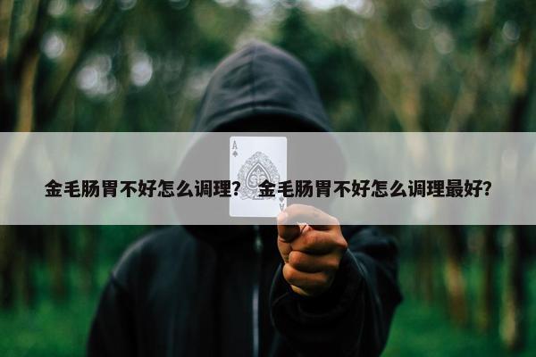 金毛肠胃不好怎么调理？ 金毛肠胃不好怎么调理最好？
