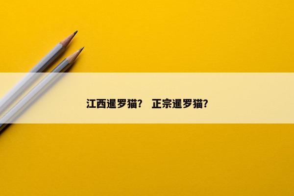 江西暹罗猫？ 正宗暹罗猫？