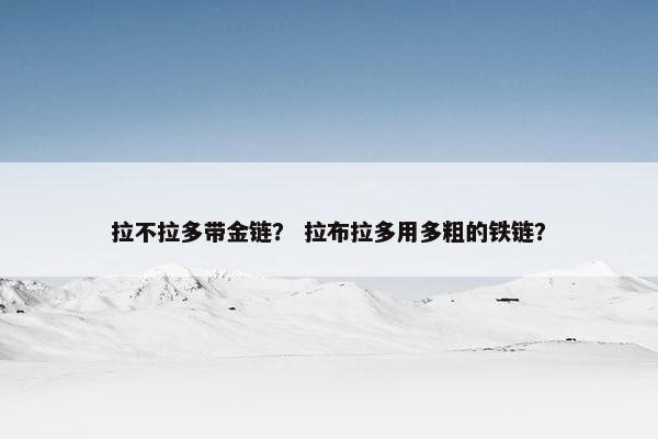 拉不拉多带金链？ 拉布拉多用多粗的铁链？