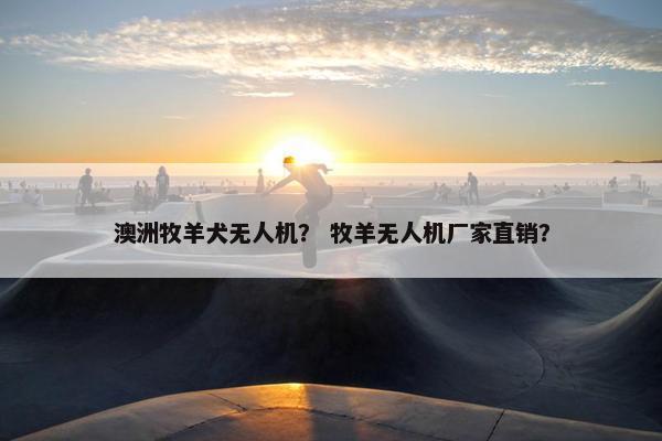 澳洲牧羊犬无人机？ 牧羊无人机厂家直销？