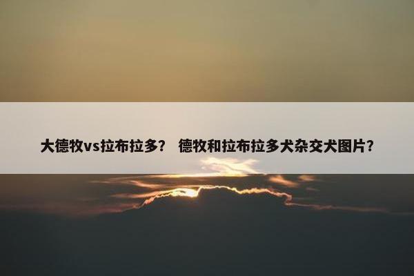 大德牧vs拉布拉多？ 德牧和拉布拉多犬杂交犬图片？