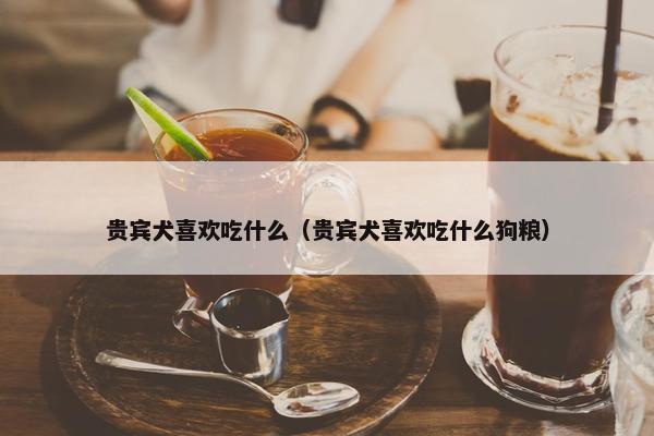 贵宾犬喜欢吃什么（贵宾犬喜欢吃什么狗粮）