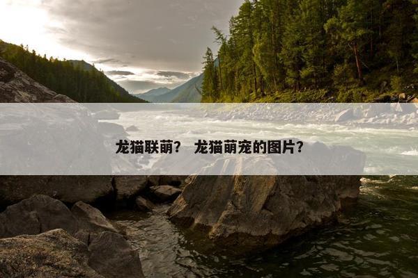 龙猫联萌？ 龙猫萌宠的图片？