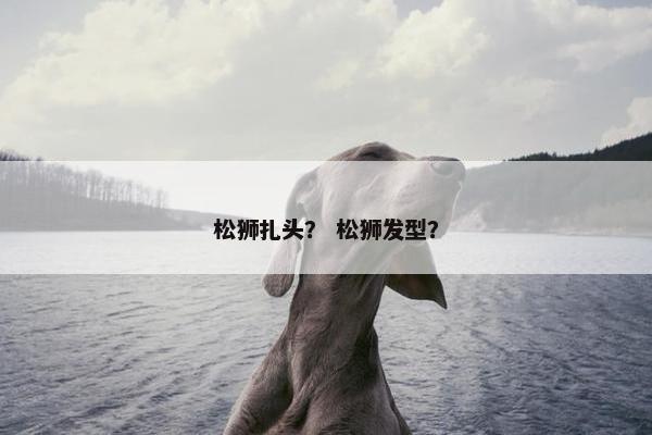 松狮扎头？ 松狮发型？