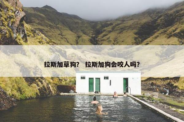 拉斯加草狗？ 拉斯加狗会咬人吗？