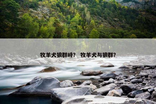 牧羊犬狼群峙？ 牧羊犬与狼群？