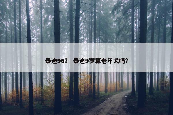 泰迪96？ 泰迪9岁算老年犬吗？