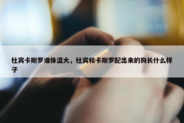 杜宾卡斯罗谁体温大，杜宾和卡斯罗配出来的狗长什么样子