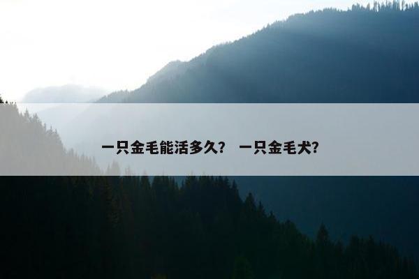一只金毛能活多久？ 一只金毛犬？