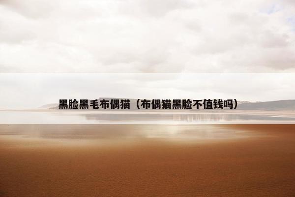 黑脸黑毛布偶猫（布偶猫黑脸不值钱吗）