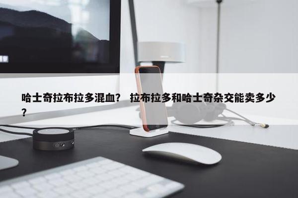 哈士奇拉布拉多混血？ 拉布拉多和哈士奇杂交能卖多少？