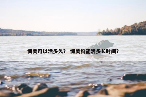 博美可以活多久？ 博美狗能活多长时间？