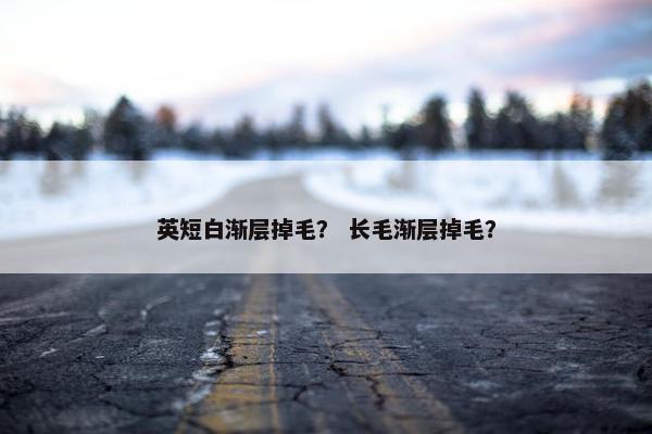 英短白渐层掉毛？ 长毛渐层掉毛？