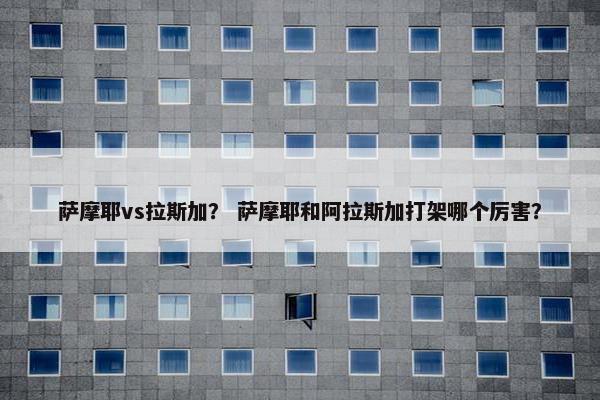 萨摩耶vs拉斯加？ 萨摩耶和阿拉斯加打架哪个厉害？