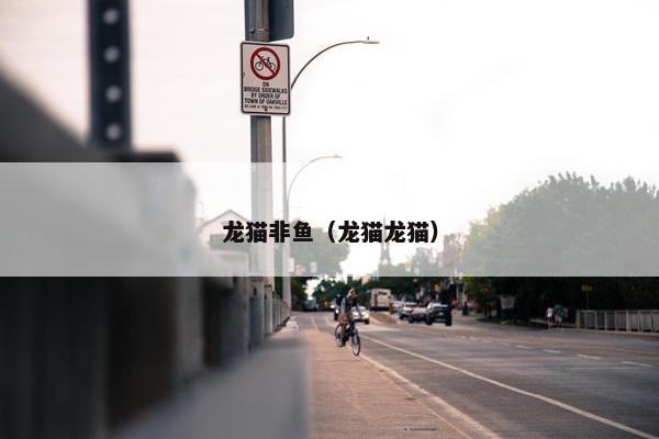 龙猫非鱼（龙猫龙猫）