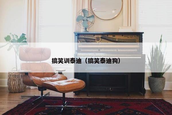 搞笑训泰迪（搞笑泰迪狗）