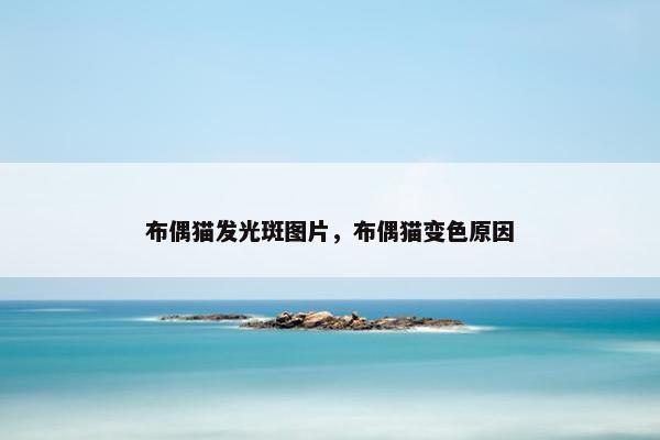 布偶猫发光斑图片，布偶猫变色原因