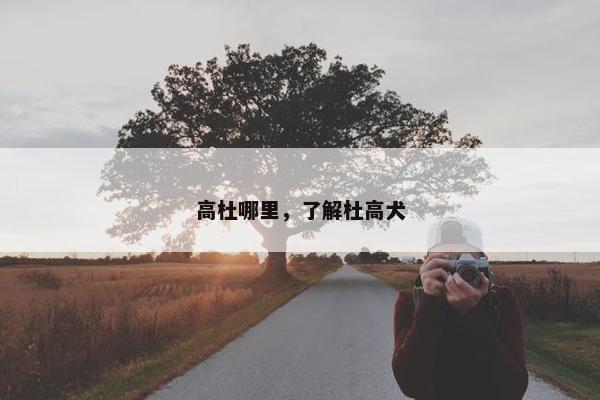 高杜哪里，了解杜高犬