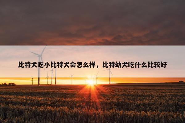 比特犬吃小比特犬会怎么样，比特幼犬吃什么比较好