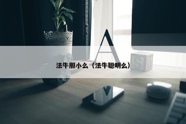 法牛胆小么（法牛聪明么）