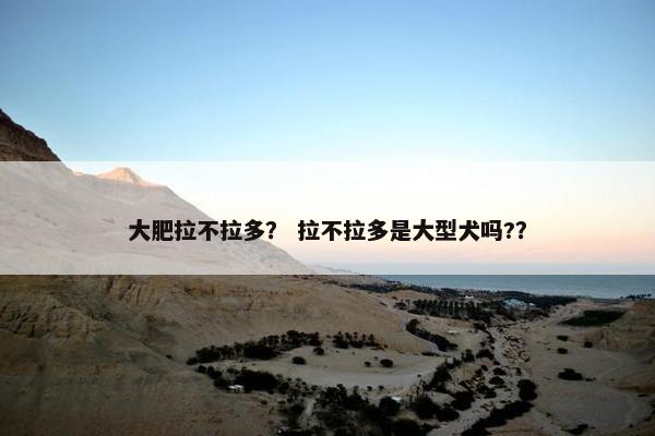 大肥拉不拉多？ 拉不拉多是大型犬吗?？