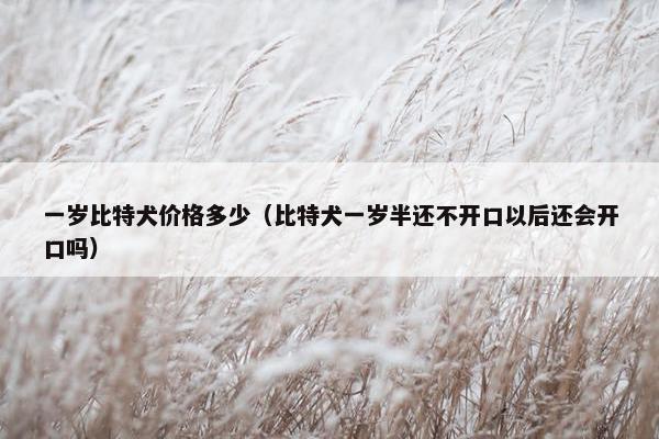 一岁比特犬价格多少(比特犬一岁半还不开口以后还会开口吗) 一岁比特犬价格多少(比特犬一岁半还不开口以后还会开口吗)