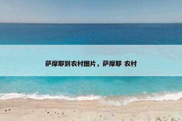 萨摩耶到农村图片，萨摩耶 农村