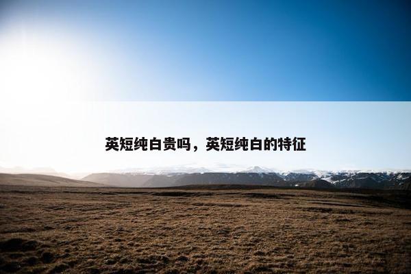 英短纯白贵吗，英短纯白的特征