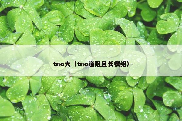 tno大（tno道阻且长模组）