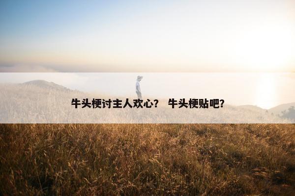 牛头梗讨主人欢心？ 牛头梗贴吧？