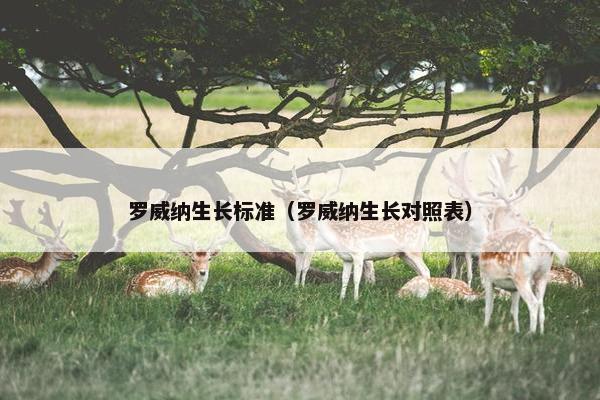 罗威纳生长标准（罗威纳生长对照表）